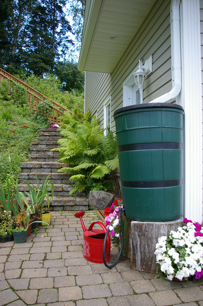 Rain Barrel | Credit: Rick Atkinson 雨桶
