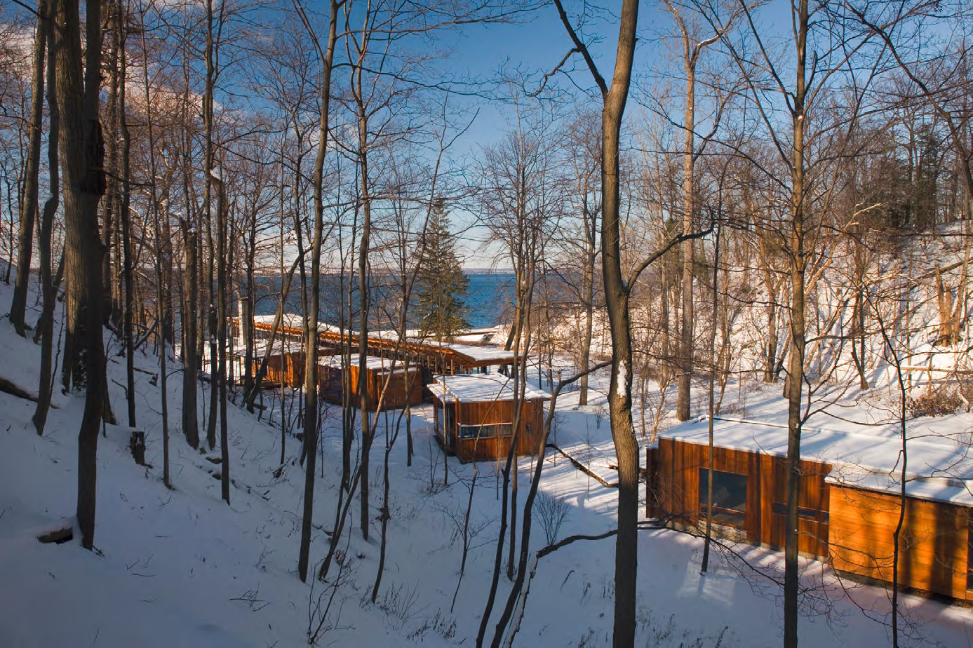博林·西文斯基·杰克逊(Bohlin Cywinski Jackson)为康姆斯点(Combs Point)住宅提供的林木景观