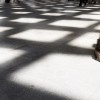 来源:David Franck, Ostfildern / www.davidfranck.de