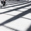 来源:David Franck, Ostfildern / www.davidfranck.de