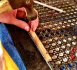09精加工的指甲 - 图片按雷切兰尼