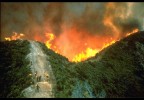 野火-土地管理局信用局