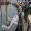 海洋栖息地建设|由WorleyParsons加拿大有限公司提供。