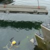 海洋栖息地建设|由WorleyParsons加拿大有限公司提供。