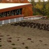 绿色屋顶|贷方:Buildipedia