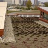 绿色屋顶|贷方:Buildipedia