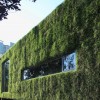 Vector Architects的绿色科技展厅|