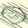资料来源:Raymond Jungles, Inc.。