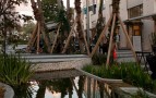 来源:达米安·沃勒
