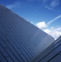 运输和旅游已完成屋顶的扎哈·哈迪德建筑师滨江博物馆|信用：海伦·比奈