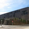 Carabanchel Bamboo House - FOA |资料来源:Nicole Jewell