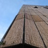 Carabanchel Bamboo House - FOA |资料来源:Nicole Jewell