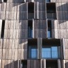 Carabanchel Bamboo House - FOA |资料来源:Nicole Jewell