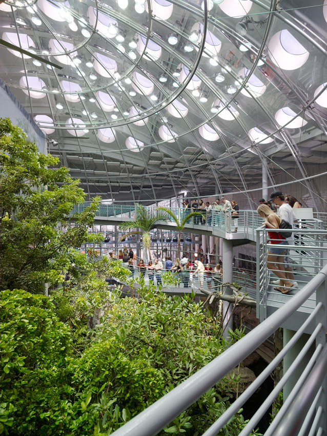 伦佐·皮亚诺(Renzo Piano)位于旧金山的加州科学院(California Academy of Sciences)内的热带雨林展览