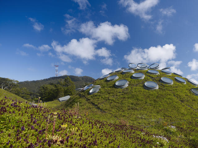 伦佐·皮亚诺(Renzo Piano)位于旧金山的加州科学院(California Academy of Sciences)的活动屋顶上的圆形天窗