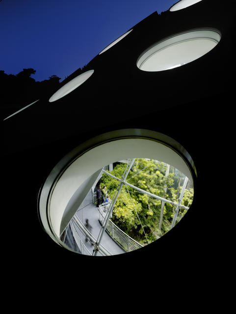 从伦佐·皮亚诺的加州科学院的活屋顶上的圆形天窗看雨林展览