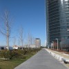 马德里的Cuatro Torres(四塔)|荣誉:Nicole Jewell