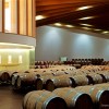 圣地亚哥·卡拉特拉瓦的Ysios Bodega |资料来源:Ysios Bodega