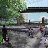 布鲁克林大桥公园效果图|来源:Michael Van Valkenburgh Associates