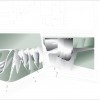 盖达尔阿利耶夫文化中心网站计划|来源：扎哈·哈迪德建筑事务所