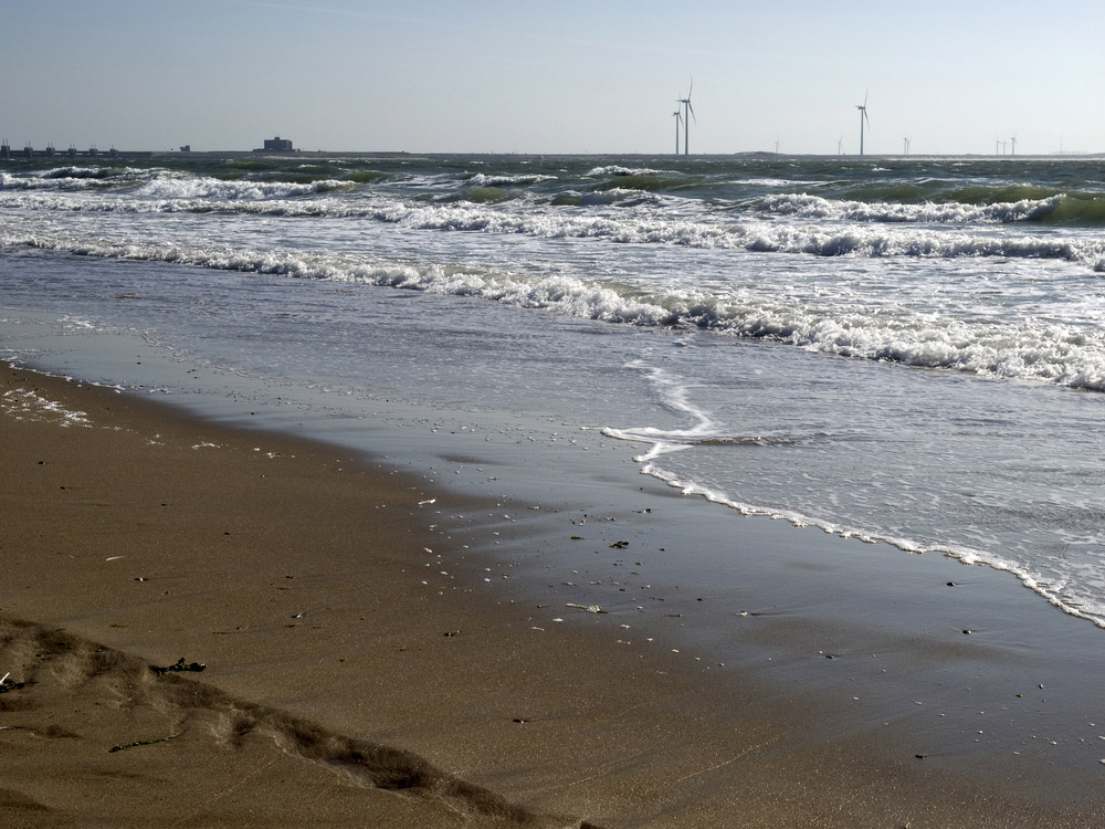 海水淡化