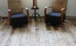 Casa Decor |图片由Nicole Jewell提供
