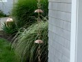 伞雨链