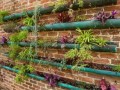 由珀斯景观建筑师可持续花园设计的DIY水槽花箱当代景观