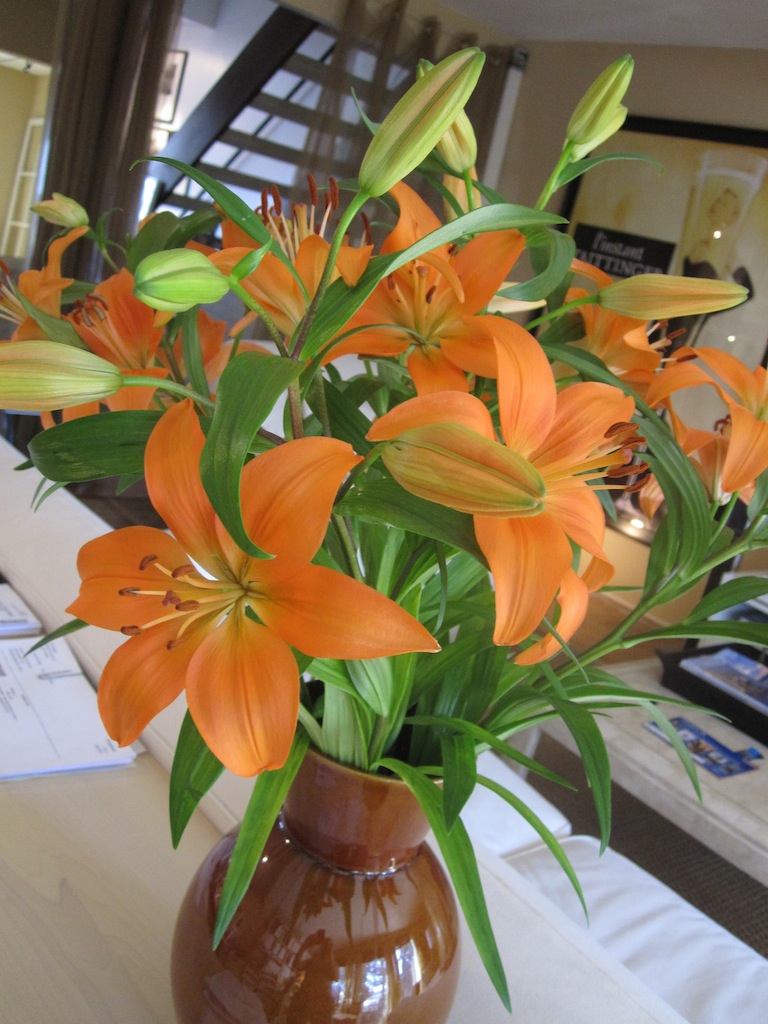 spring_flowers_049