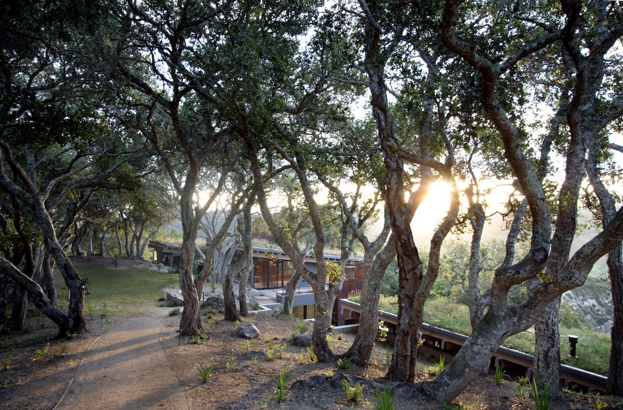 Feldman_Architects_House_Ocho_10