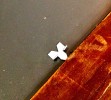 DIY药品柜|信用：瑞秋兰尼