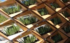 Para Eco太阳能住宅设计。资料提供者:Nicole Jewell