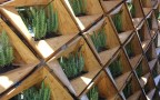 Para Eco太阳能住宅设计。资料提供者:Nicole Jewell