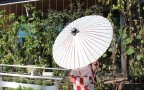 （Omotenashi太阳房设计|来源：妮可朱厄尔