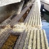 海洋栖息地Construction | Courtesy of EBA  Engineering Consultants