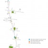 纽约重振了建筑之间的生活|信贷:Gehl建筑师和NYCDOT