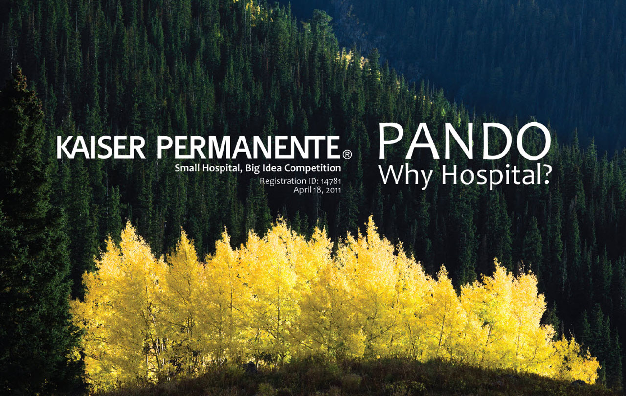 Ellerbe贝克特's concept for Kaiser Permanente's  Small Hospital, Big Idea competition.