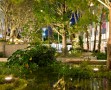 1111 Lincoln Road |图片来源：Steven Brooke摄影