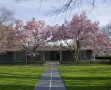 Eero Saarinen 's Miller House |来源:印第安纳州哥伦布市的Miller House and Garden，由印第安纳波利斯艺术博物馆提供。