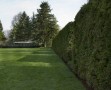 Eero Saarinen 's Miller House |来源:印第安纳州哥伦布市的Miller House and Garden，由印第安纳波利斯艺术博物馆提供。