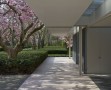 Eero Saarinen 's Miller House |来源:印第安纳州哥伦布市的Miller House and Garden，由印第安纳波利斯艺术博物馆提供。