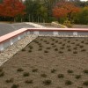 植被屋顶|贷方:Buildipedia