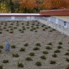 植被屋顶|贷方:Buildipedia