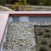 植被屋顶|贷方:Buildipedia