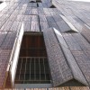 Carabanchel Bamboo House - FOA |资料来源:Nicole Jewell