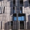 Carabanchel Bamboo House - FOA |资料来源:Nicole Jewell