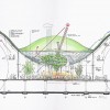 加利福尼亚州科学院|信贷：Renzo钢琴建筑研讨会