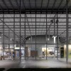 加州科学院学院|信用：蒂姆格里菲斯