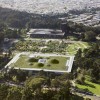 加州科学院学院|信用：蒂姆格里菲斯