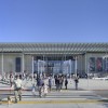 加州科学院学院|信用：蒂姆格里菲斯